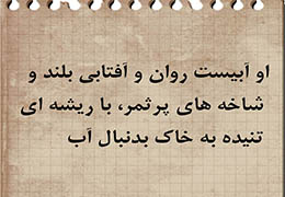 هيچ تنه‌ای را جدا ز ريشه، بارور ديده‌ايد؟