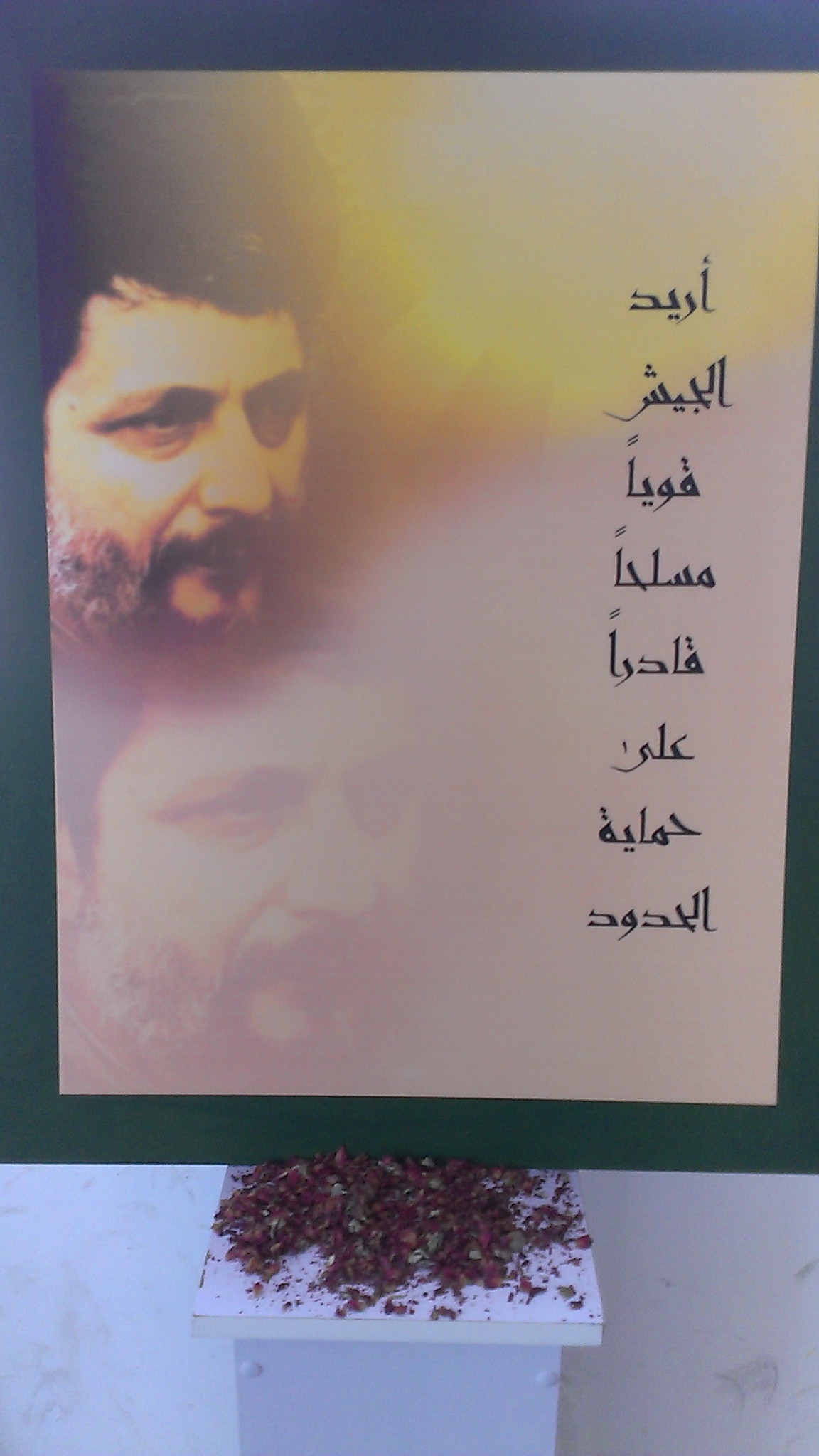 IMAG0934